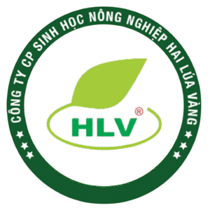 Logo Hai Lúa Vàng