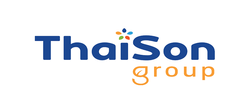 Logo Thái Sơn Group